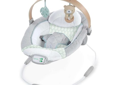 Cozy Spot™ Soothing Bouncer Sale