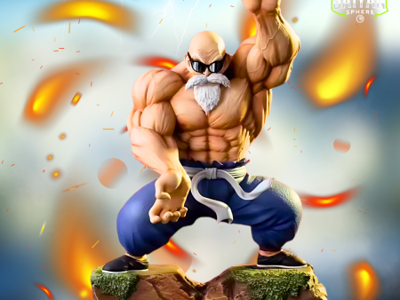 Dragon Ball Anime Figure Sensei Roshi s Wisdom 25cm (10 ) PVC Statue Discount