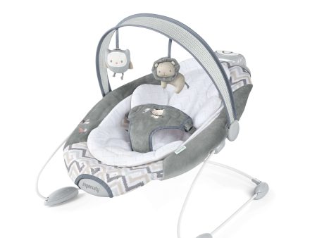 SmartBounce Automatic Bouncer™ - Braden™ Supply